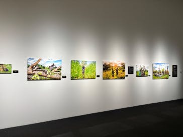 ヨシダナギ写真展　HEROES-RELOADED-に投稿された画像（2026/1/9）