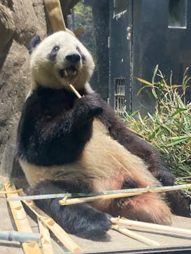 恩賜上野動物園に投稿された画像（2026/1/9）