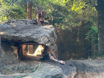 恩賜上野動物園に投稿された画像（2026/1/9）