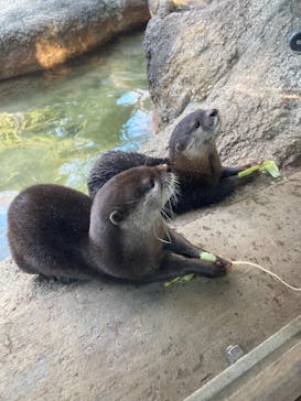 恩賜上野動物園に投稿された画像（2026/1/9）