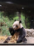 恩賜上野動物園に投稿された画像（2026/1/9）