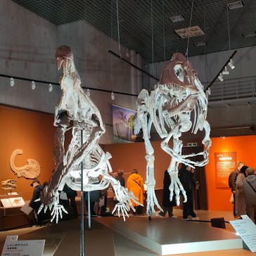 特別展「大絶滅展―生命史のビッグファイブ」に投稿された画像（2026/1/9）