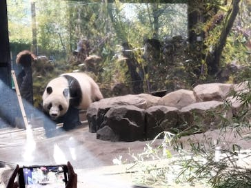 恩賜上野動物園に投稿された画像（2026/1/9）