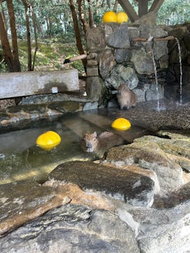 長崎バイオパークに投稿された画像（2026/1/9）