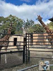 長崎バイオパークに投稿された画像（2026/1/9）