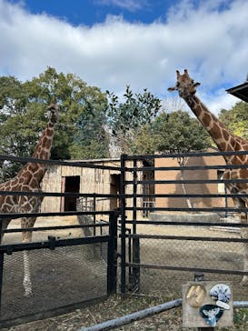 長崎バイオパークに投稿された画像（2026/1/9）