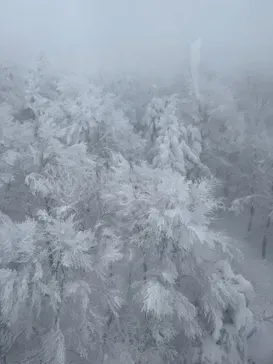 蔵王ロープウェイに投稿された画像（2026/1/9）