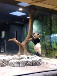 恩賜上野動物園に投稿された画像（2026/1/9）