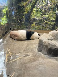 恩賜上野動物園に投稿された画像（2026/1/9）