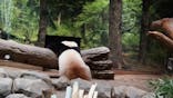 恩賜上野動物園に投稿された画像（2026/1/9）