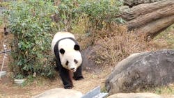 恩賜上野動物園に投稿された画像（2026/1/9）