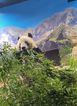 恩賜上野動物園に投稿された画像（2026/1/9）