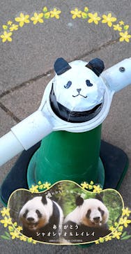 恩賜上野動物園に投稿された画像（2026/1/9）