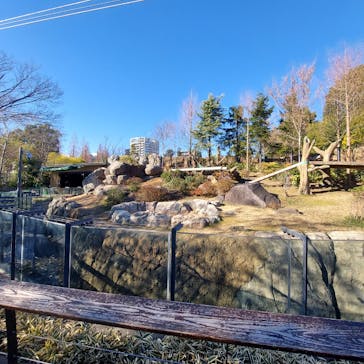 恩賜上野動物園に投稿された画像（2026/1/9）