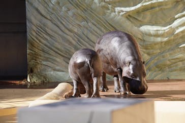 恩賜上野動物園に投稿された画像（2026/1/9）