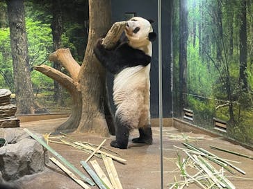 恩賜上野動物園に投稿された画像（2026/1/9）