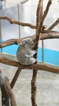 多摩動物公園に投稿された画像（2026/1/9）