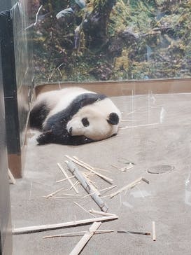 恩賜上野動物園に投稿された画像（2026/1/9）