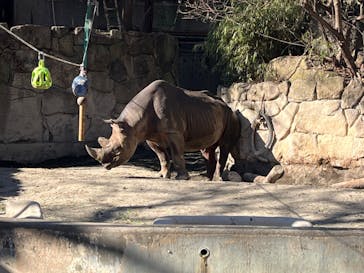 恩賜上野動物園に投稿された画像（2026/1/9）