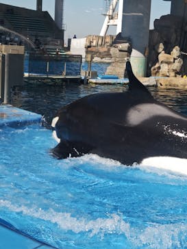 名古屋港水族館に投稿された画像（2026/1/9）