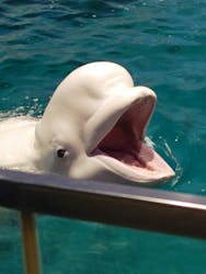 名古屋港水族館に投稿された画像（2026/1/9）