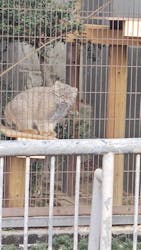 名古屋市東山動植物園に投稿された画像（2026/1/9）