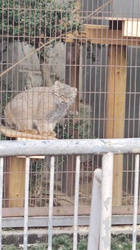 名古屋市東山動植物園に投稿された画像（2026/1/9）