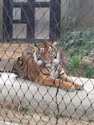 名古屋市東山動植物園に投稿された画像（2026/1/9）
