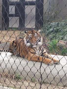 名古屋市東山動植物園に投稿された画像（2026/1/9）