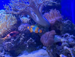 横浜・八景島シーパラダイス　プレジャーランドに投稿された画像（2026/1/9）