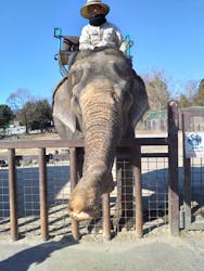 那須サファリパークに投稿された画像（2026/1/9）