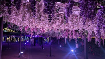 東京メガイルミに投稿された画像（2026/1/9）