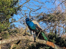 伊豆シャボテン動物公園に投稿された画像（2026/1/9）