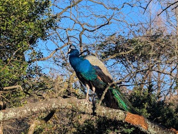 伊豆シャボテン動物公園に投稿された画像（2026/1/9）