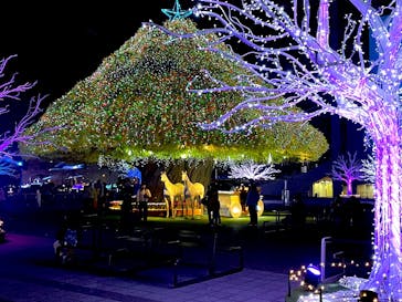 東京メガイルミに投稿された画像（2026/1/9）