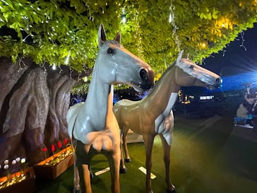 東京メガイルミに投稿された画像（2026/1/9）