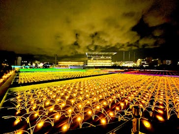 東京メガイルミに投稿された画像（2026/1/9）