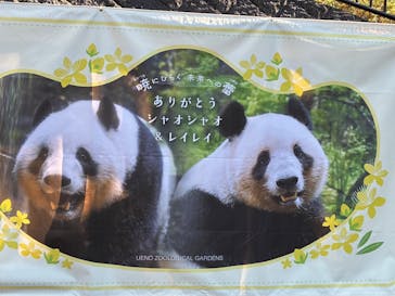 恩賜上野動物園に投稿された画像（2026/1/9）