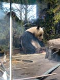 恩賜上野動物園に投稿された画像（2026/1/10）