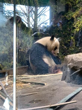 恩賜上野動物園に投稿された画像（2026/1/9）