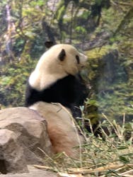 恩賜上野動物園に投稿された画像（2026/1/9）