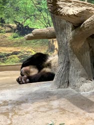 恩賜上野動物園に投稿された画像（2026/1/9）