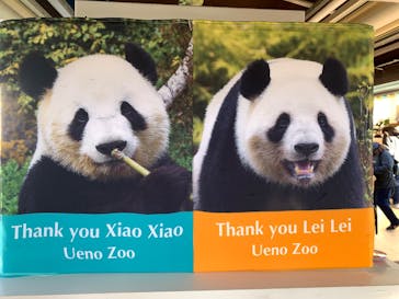 恩賜上野動物園に投稿された画像（2026/1/9）