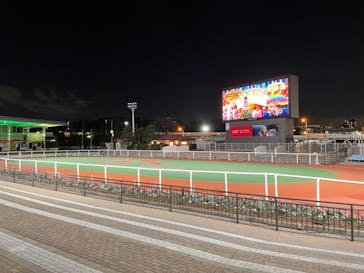 東京メガイルミに投稿された画像（2026/1/9）