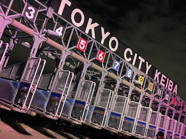 東京メガイルミに投稿された画像（2026/1/9）