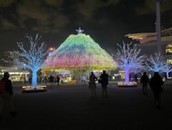 東京メガイルミに投稿された画像（2026/1/9）