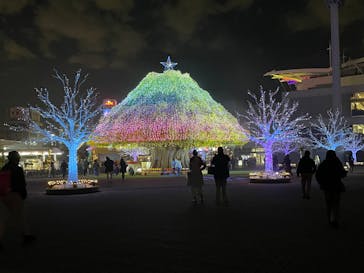 東京メガイルミに投稿された画像（2026/1/9）
