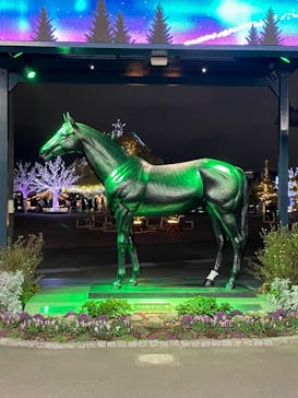 東京メガイルミに投稿された画像（2026/1/9）