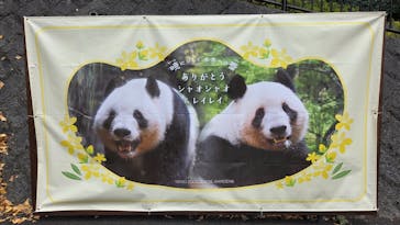 恩賜上野動物園に投稿された画像（2026/1/9）