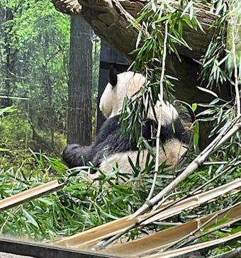 恩賜上野動物園に投稿された画像（2026/1/9）